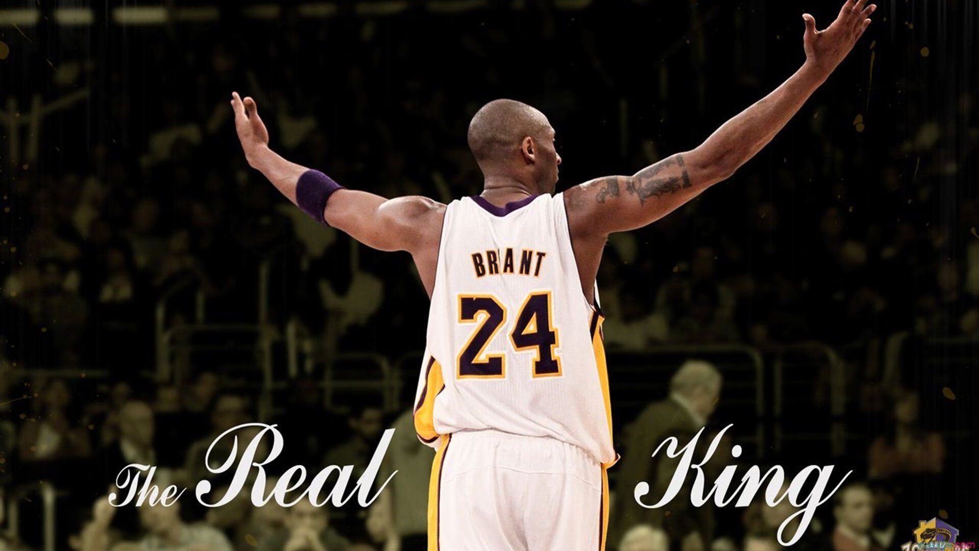 “中超主场观众破纪录，体育热情高涨”，中超现场观赛指南