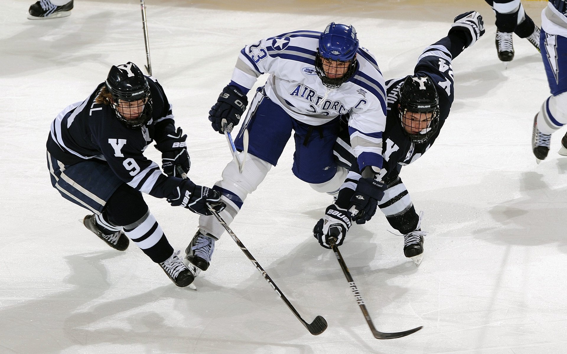 开云体育官网下载-《新款电竞装备登场：为职业选手量身定制》，电竞套件